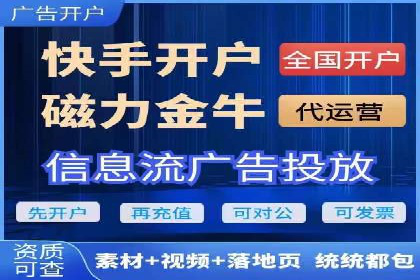 百度SEO推广公司服务效果评估：多案例对比分析